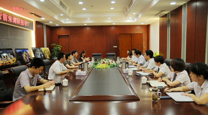 蕪湖市副市長胡錫萍一行到華億調研