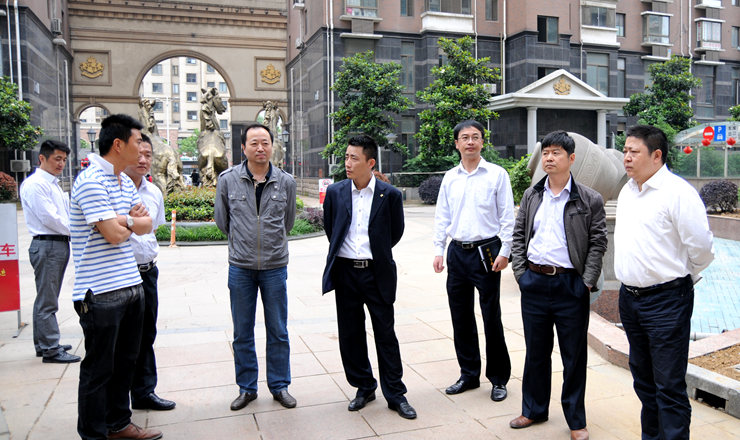 杜先松副總裁一行視察華亭陽光綠洲小區整體環境改造情況