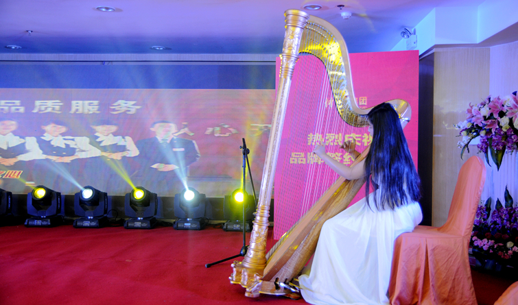 優(yōu)雅的豎琴演奏