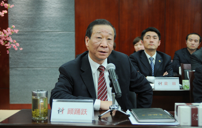 集團副總裁顧踴躍討論發言