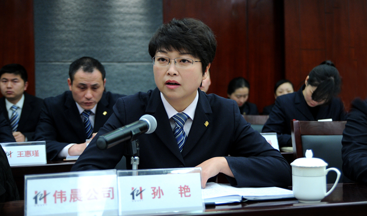 偉晨文化公司總經理孫艷討論發言