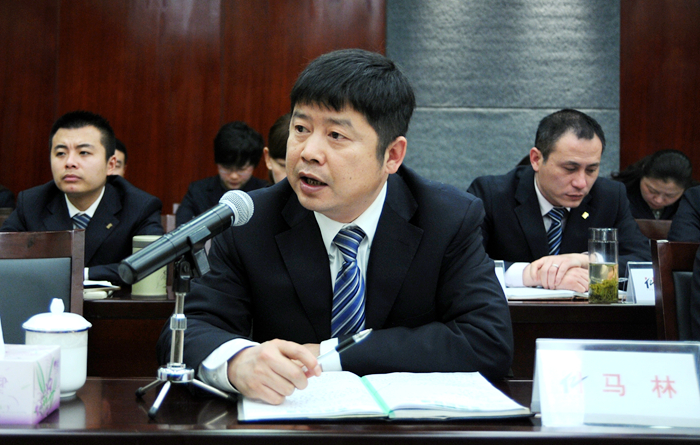 華億置業公司副總經理、南陵華億置業公司總經理馬林討論發言
