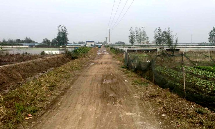 周閘村“一路一橋”項目待建道路
