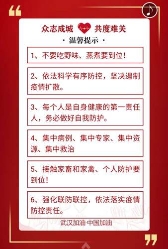 1581243920497791.jpg 5.jpg